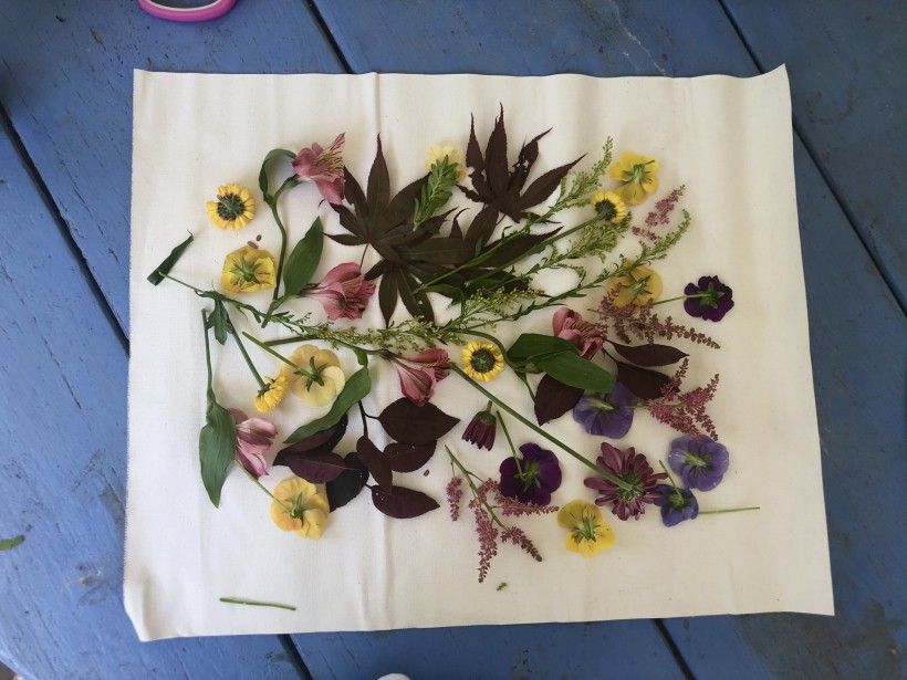 Floral Imprints on Canvas Brandywine Conservancy and Museum of Art